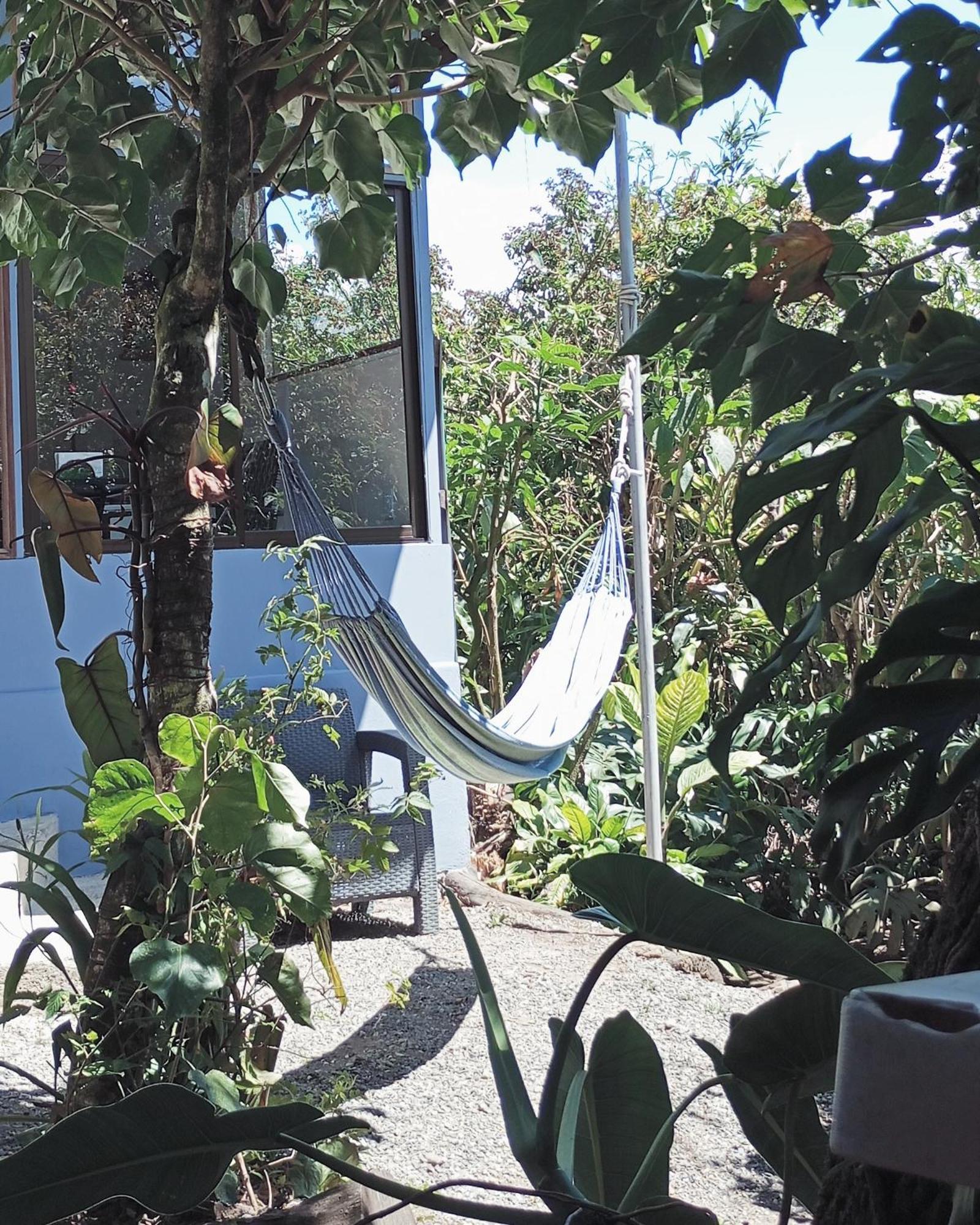Monteverde Cecropia Paradise 客房 照片