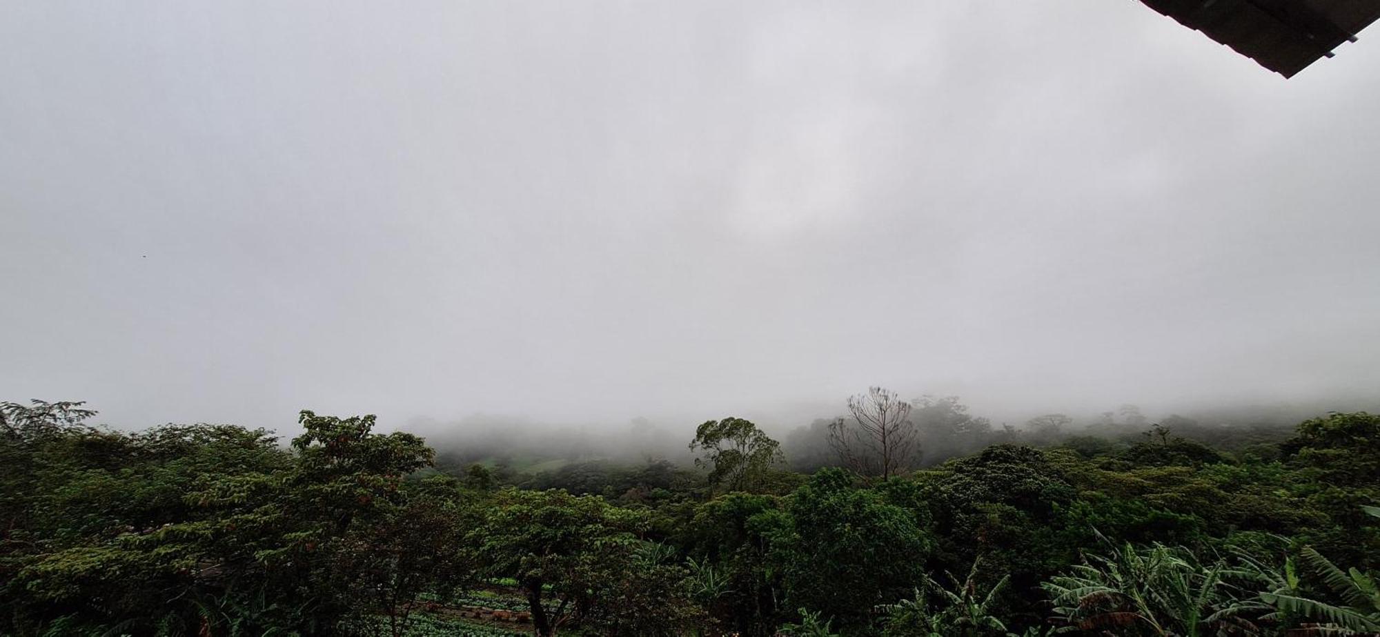 Monteverde Cecropia Paradise 客房 照片