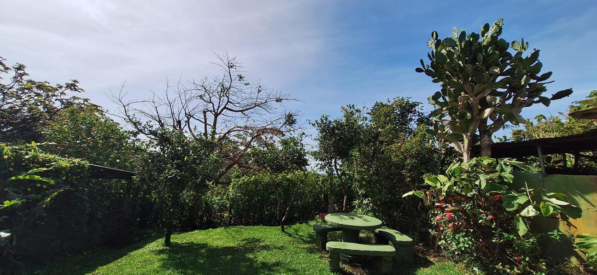 Monteverde Cecropia Paradise 客房 照片